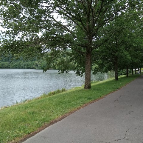 Asphalted path along the Bitburg reservoir, lined with trees and green grass, with a view of the water., © Naturpark Südeifel