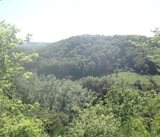 manternacher-fiels-06052018-22, &copy; Claudia Kr&uuml;tten