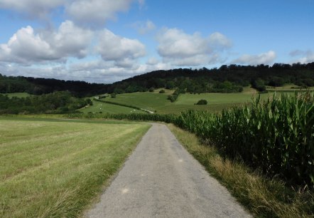 Auto-p&eacute;destre Rosport, &copy; Deutsch-Luxemburgische Tourist Information