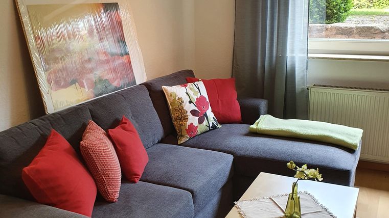 Ein gemütliches Wohnzimmer mit einem grauen Sofa.