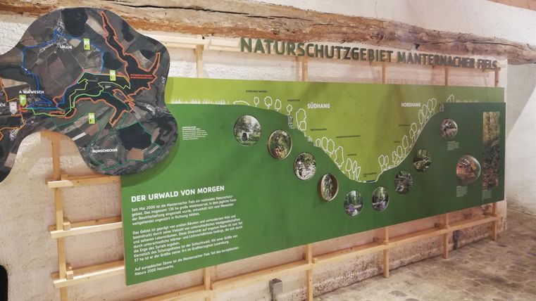 Eine Informationswand über das Naturschutzgebiet Mantinger Moor. Sie zeigt Karten und Informationen zur Natur und den Wanderwegen in der Umgebung.