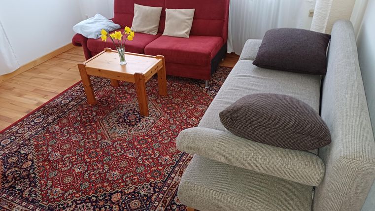 Ein gemütlicher Wohnraum mit einem grauen Sofa und einem roten Sessel. Auf einem kleinen Tisch stehen frische Blumen und der Boden ist mit einem Teppich bedeckt.