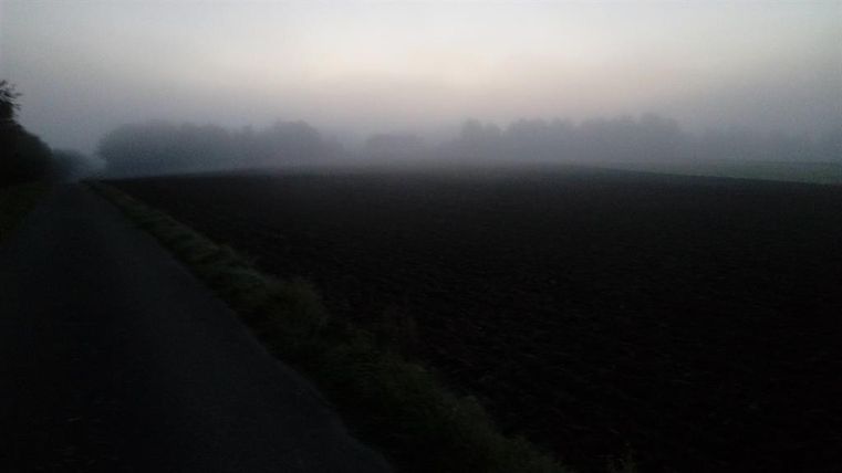Ein nebliges Feld am frühen Morgen. Der Weg verläuft entlang des Feldes, umgeben von Bäumen im Hintergrund.