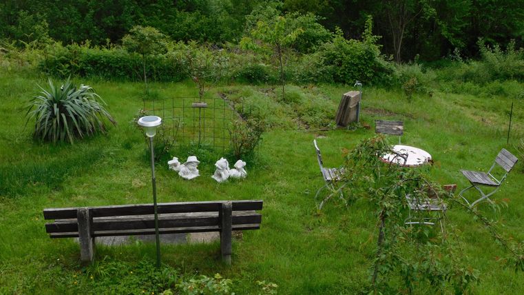 Ein grüner Garten mit verschiedenen Pflanzen und Büschen. Eine Holzbank und ein Tisch mit Stühlen sind im Vordergrund zu sehen.