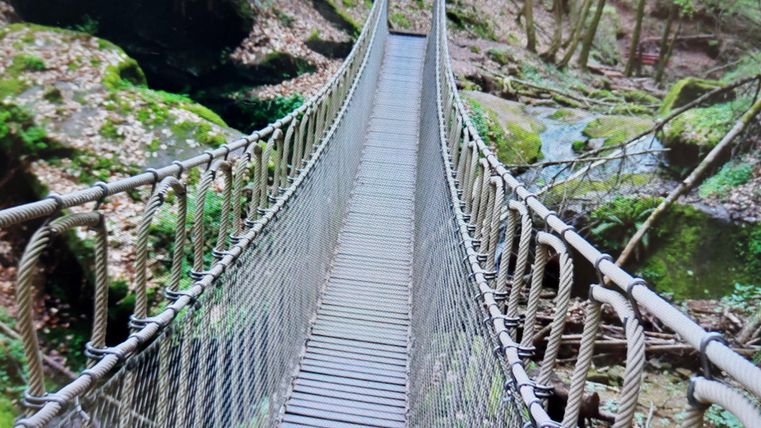 Eine Hängebrücke führt über einen kleinen Bach in einem Wald. Die Umgebung ist grün und mit Laub bedeckt.