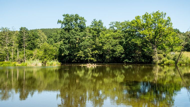 Ein ruhiger Stauweiher mit Bäumen im Hintergrund, die sich im Wasser spiegeln, unter klarem, blauem Himmel.