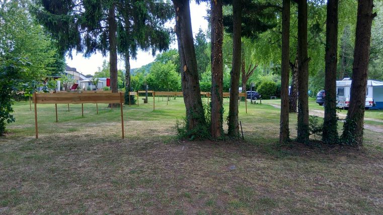 Ein grüner Campingplatz mit Bäumen und Wiesen. Im Hintergrund sind Zelt- und Wohnmobilstellplätze sichtbar.