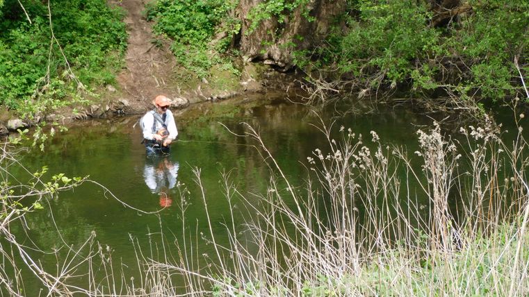 Ein Angler steht im klaren Wasser eines kleinen Gewässers, umgeben von üppigem Grün. Im Vordergrund wachsen hohe Gräser.