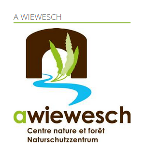 Ein Logo des Natur- und Waldzentrums A Wiewesch. Es zeigt Wasser, Pflanzen und eine schlichte Darstellung eines Eingangs.