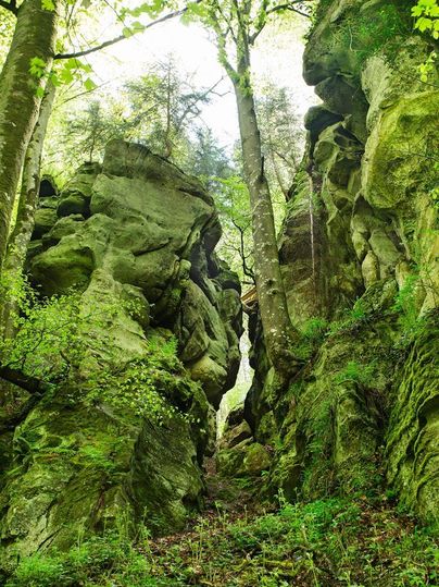 Eine enge Schlucht umgeben von hohen, moosbedeckten Felsen und grünen Bäumen. Das Licht flutet durch die Äste und erzeugt eine friedliche Atmosphäre.