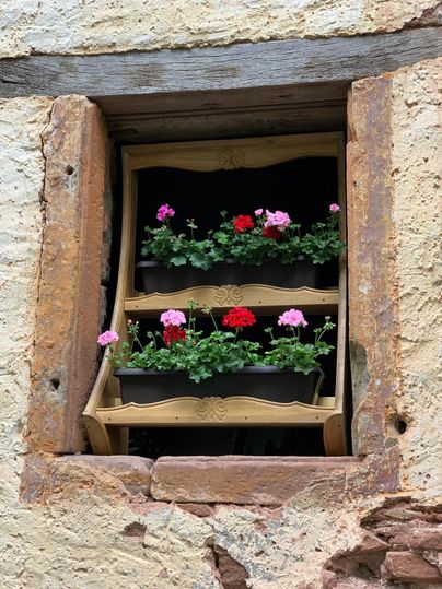Ein schönes Fenster mit pflanzengefüllten Blumenkästen. Bunte Blumen in verschiedenen Farben blühen lebhaft und verleihen dem Raum einen einladenden Charme.