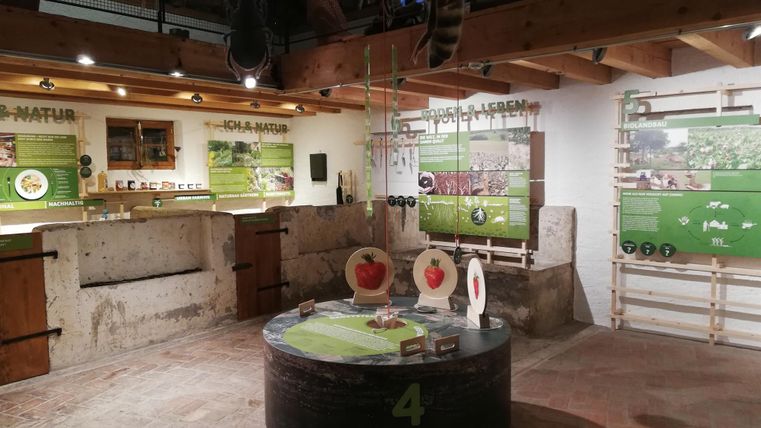 Ein Ausstellungsraum mit interaktiven Elementen zur Natur. An den Wänden hängen Informationstafeln und es gibt eine zentrale Tischinstallation.