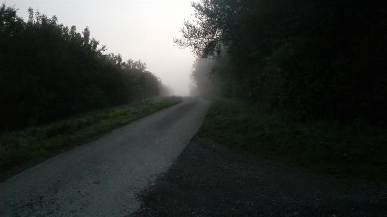 Ein ruhiger Weg, umgeben von Bäumen und Nebel. Die Atmosphäre ist mystisch und einladend.