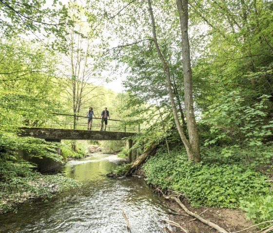 Salmtal, étape 14 du sentier de l'Eifel, © Eifel Tourismus GmbH, D. Ketz