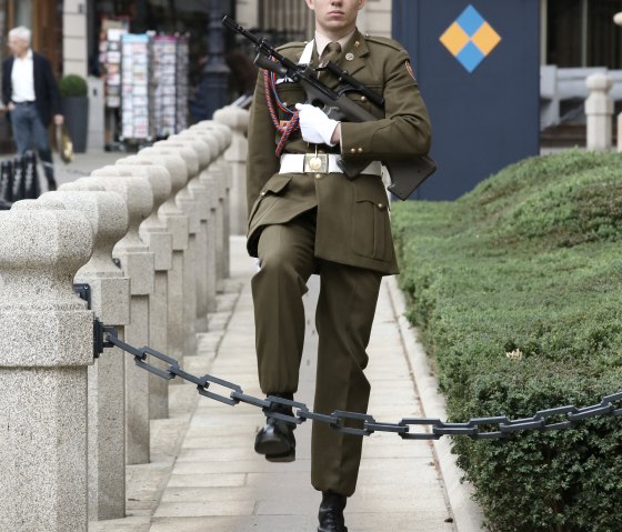 palais-2-paddy-cummins-lft, &copy; Paddy Cummins-LFT