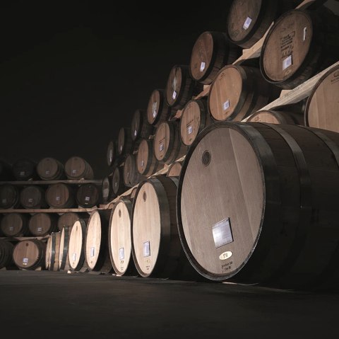 Weinberg, © Johannes Willwacher