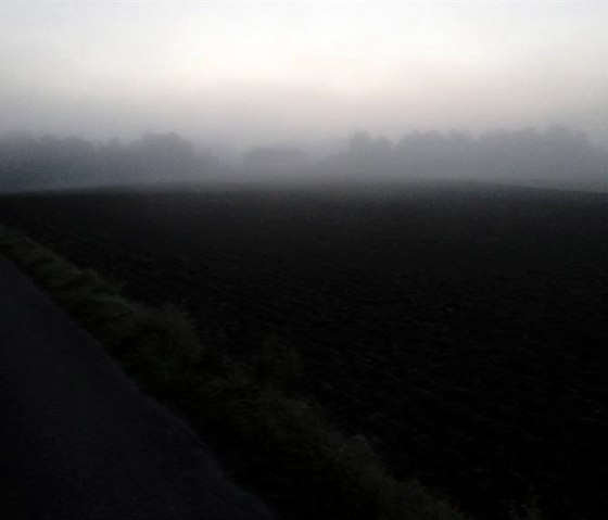 Herbstanfang, &copy; Monika Kunze