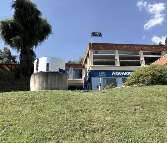 Aquarium 1, © Deutsch-Luxemburgische Tourist Info