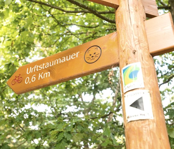 Voorbij het wildernispad op de Eifelsteig, © Eifel Tourismus/D. Ketz