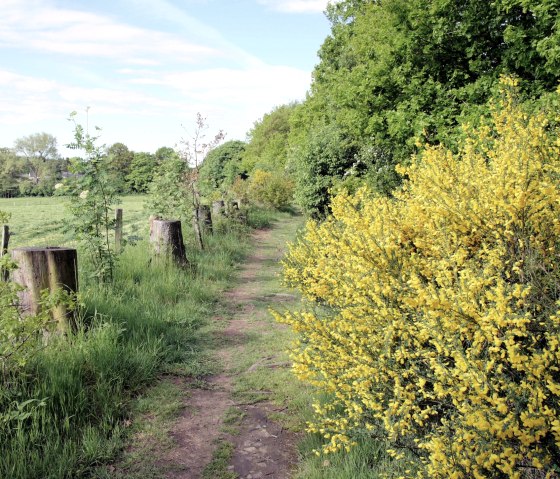 Eifelsteig hiking trail, &copy; Monschau Touristik