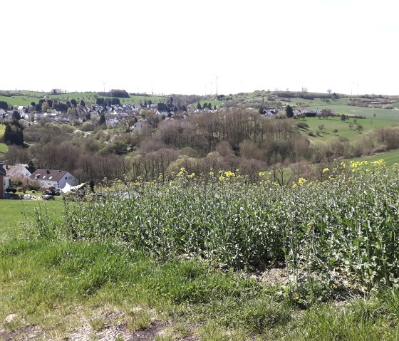 blick-auf-welschbillig, &copy; Alexa Hansen