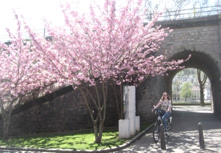 Frühlings Freude, © Deutsch-Luxemburgische Tourist-Information