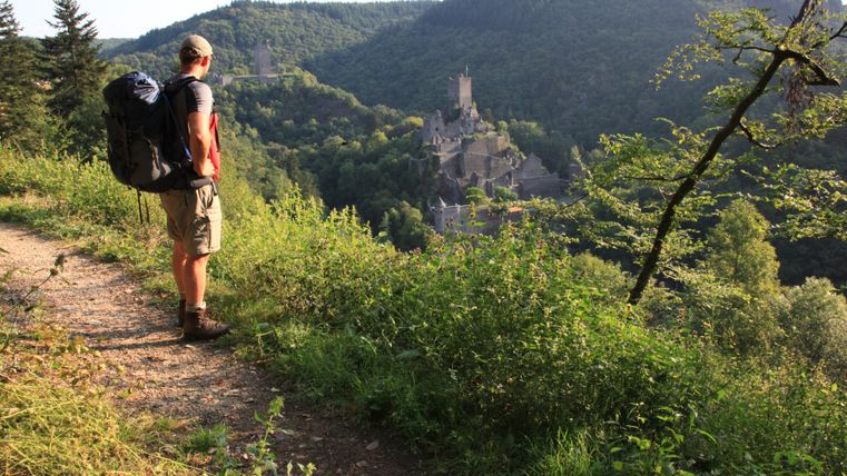 Wanderer blickt auf Manderscheider Burgen in der Eifel.