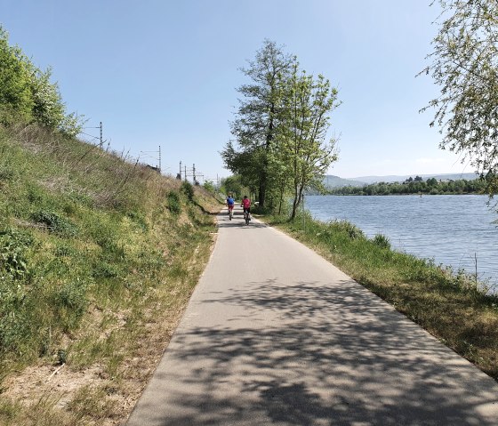 Deux cyclistes roulent sur une route asphaltée le long d'une rivière. Le soleil brille, des arbres et des buissons bordent le chemin., © Tourist-Information Bitburger Land, Steffi Wagner