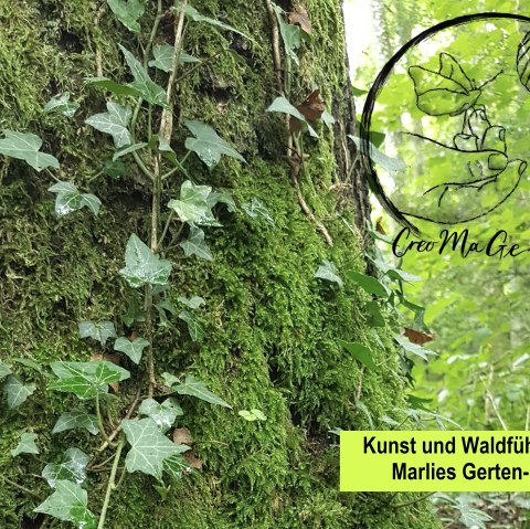 Wald- und Wiesenführung, © Marlies Gerten-Briel