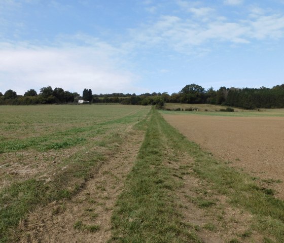 Moehn, &copy; Nicole Zimmer