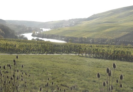 mosel-4_1, &copy; Deutsch Luxemburgische Tourist Information