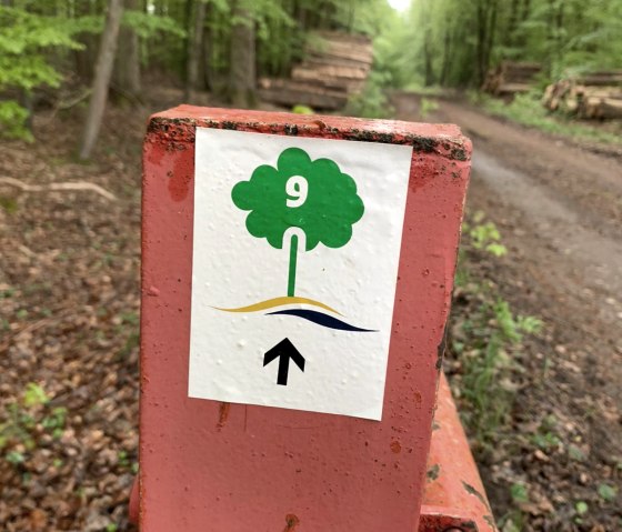 Logo Wandeling Hofweiler, &copy; Deutsch-Luxemburgische Tourist-Info