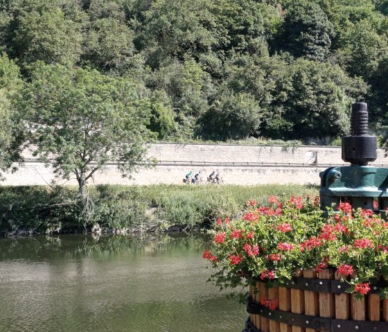 20230706_104456, &copy; Nicole Zimmer