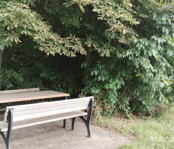 A rest area with a wooden table and benches under shady trees, surrounded by dense greenery. Ideal for a break in nature., © TI Bitburger Land
