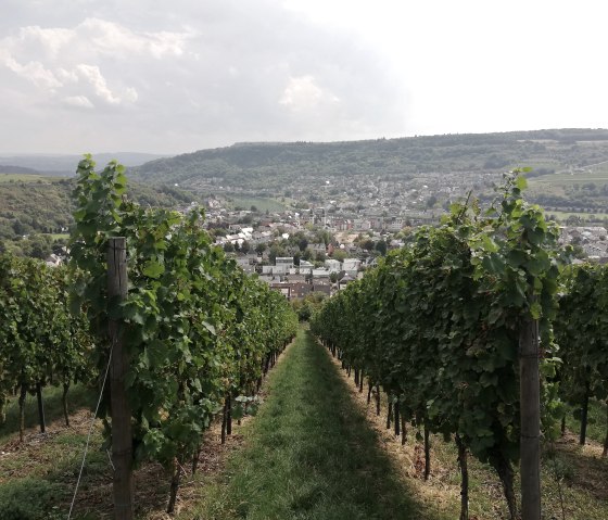 Vineyards, © Deutsch-Luxemburgische Tourist-Information
