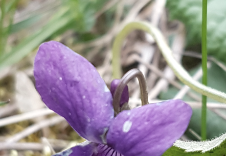 Wald - Thai Chi, &copy; Marlies Gerten-Briel
