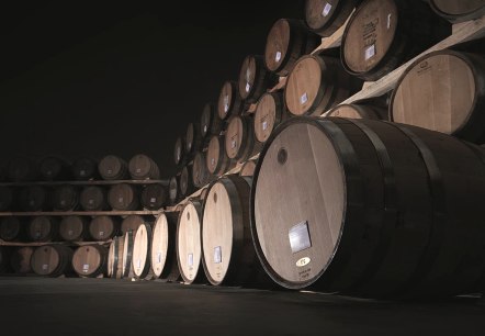 Weinberg, © Johannes Willwacher