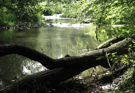 115_1503, &copy; a wiewesch