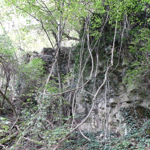 pierre-moes-traumschleife-5, &copy; Deutsch Luxemburgische Tourist Info