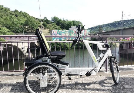 Draisin, &copy; Nicole Zimmer