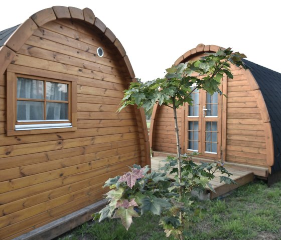 Pods 2, &copy; Becker