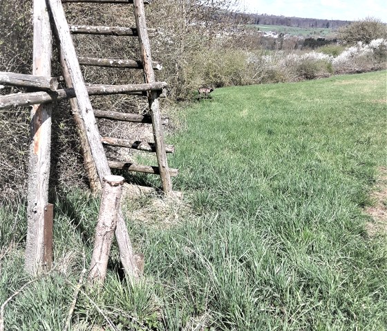 welschbillig-schilzenburg_1, © Alexa Hansen