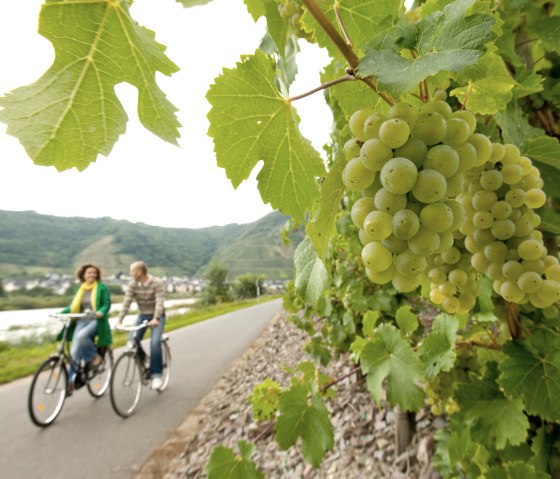 Fietsers op het Mosel-fietspad, © Dominik Ketz Fotografie / Rheinland-Pfalz Tourismus GmbH