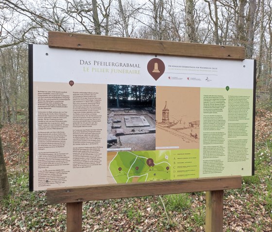 Gallo 5, &copy; Nicole Zimmer