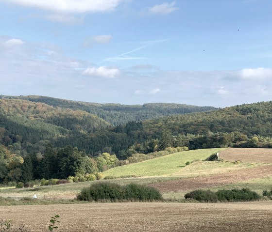 M&ouml;hn, &copy; Nicole Zimmer