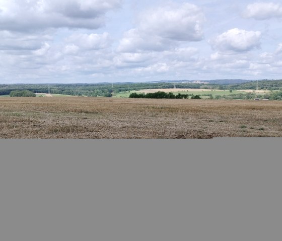 Eine Bank steht vor einem weiten Feld mit Blick auf bewaldete Hügel unter einem bewölkten Himmel., © TI Bitburger Land