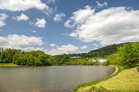 Stausee Bitburg mit grüner Uferlandschaft und bewaldeten Hügeln im Hintergrund.