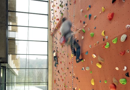 climbing park-2, &copy; Youth Hostel Echternach