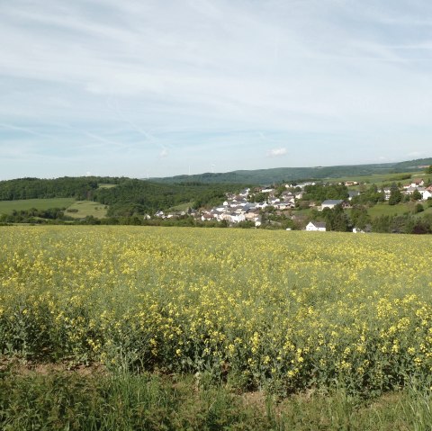 Vue à distance