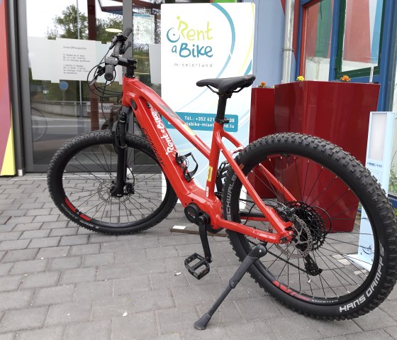 Mountain Bike, &copy; Nicole Zimmer